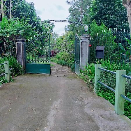 Rumah Sawah Ngabean Kültér fotó