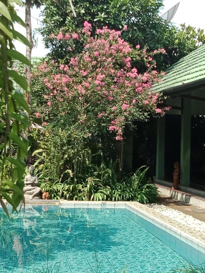 Rumah Sawah Ngabean Kültér fotó